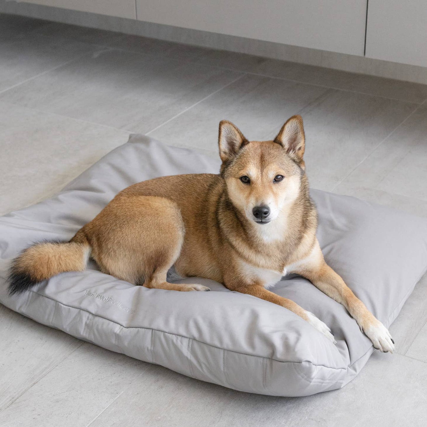 MAATIN | low rise reversible memory foam core pet bed