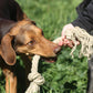 Organic hemp rope dog toy, Made for serious chewers