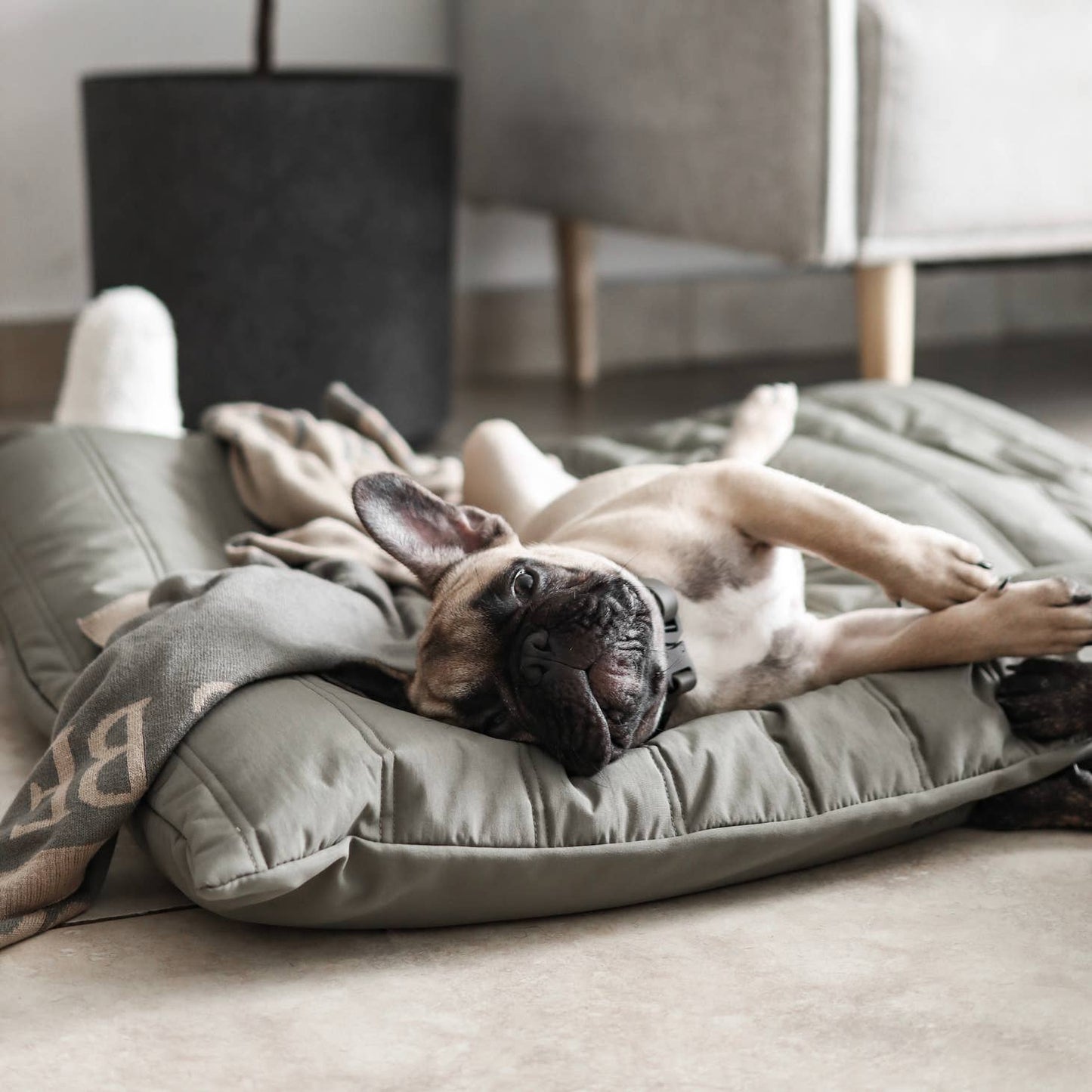 MAATIN | low rise reversible memory foam core pet bed