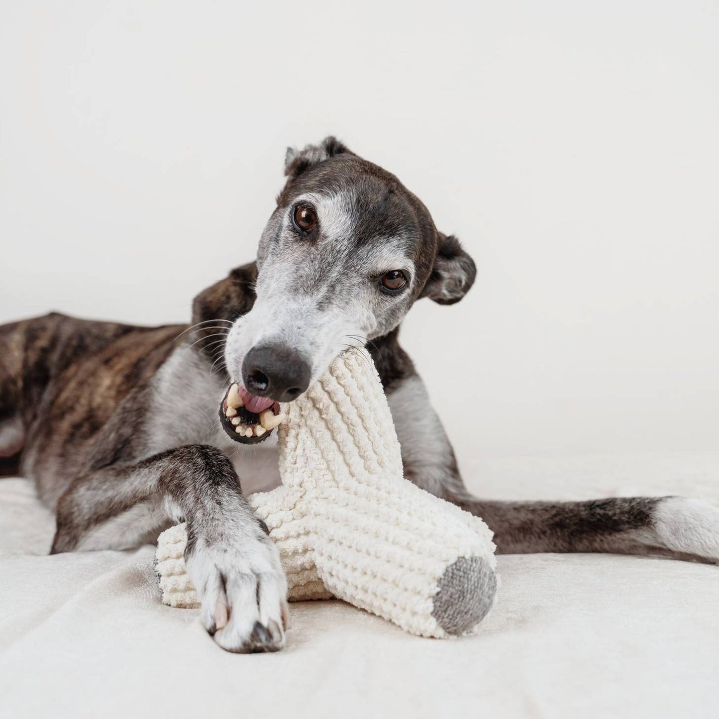 BREUER | with squeakers + crinkles