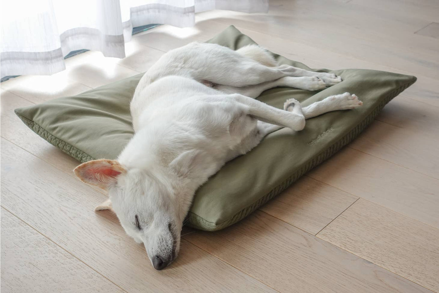 MAATIN | low rise reversible memory foam core pet bed