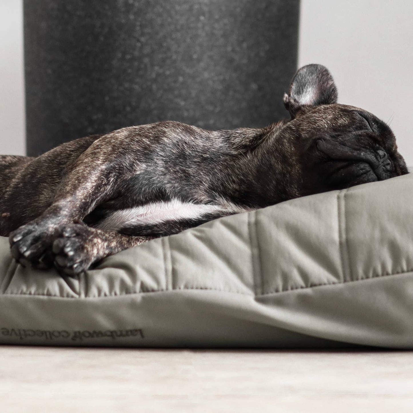 MAATIN | low rise reversible memory foam core pet bed