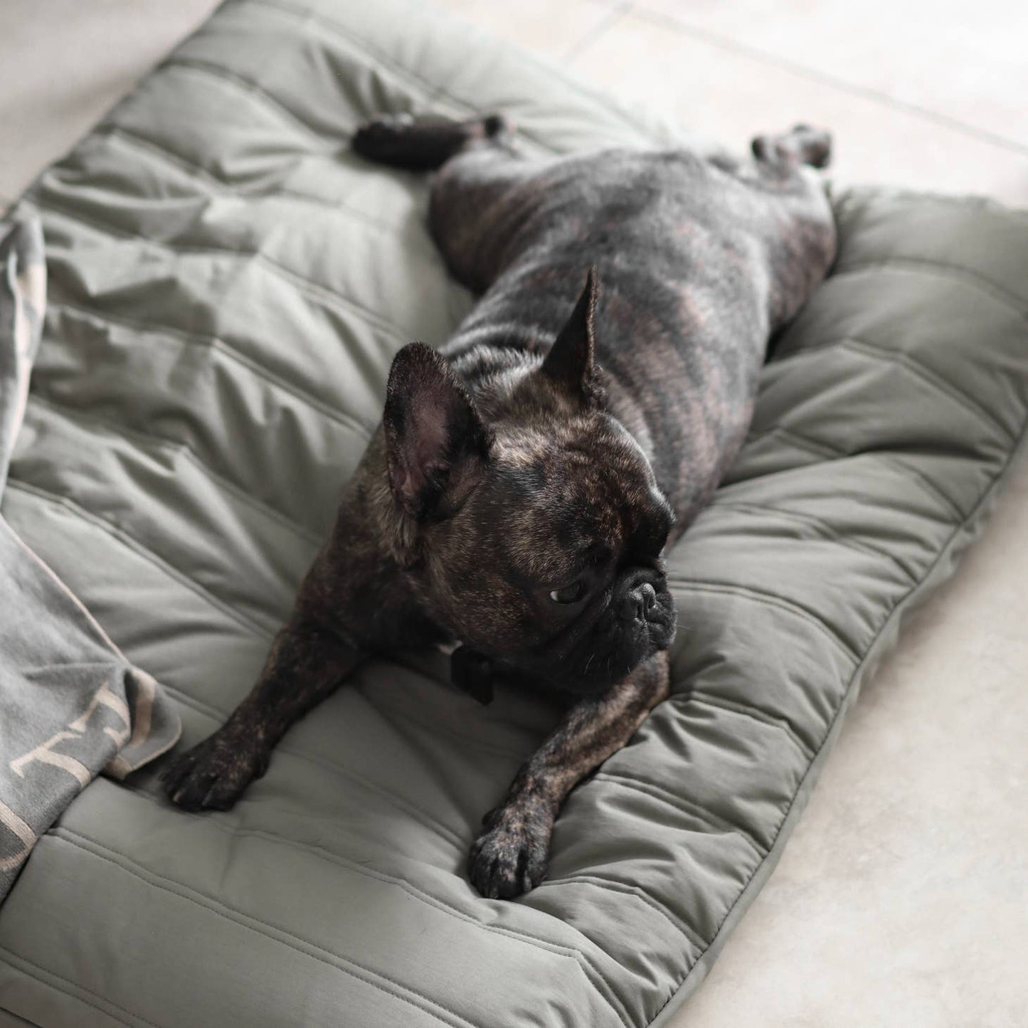 MAATIN | low rise reversible memory foam core pet bed