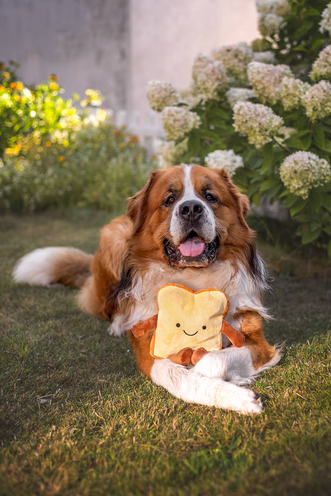 Tasty Toast